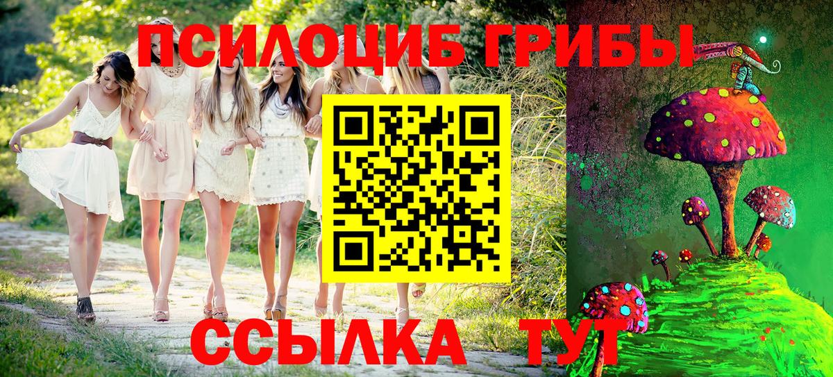 Псилоцибиновые грибы Cubensis Учалы